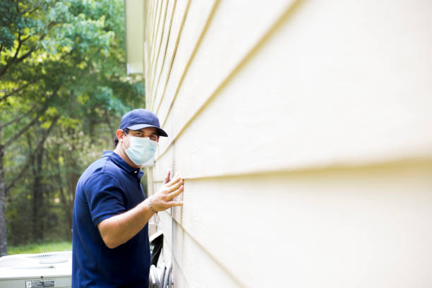 Affordable Siding Repair and Maintenance Services in Plainview, NY